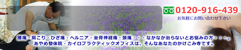 あやめ整体 カイロプラクティックオフィス