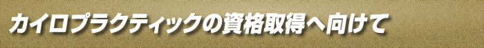 カイロプラクティックの資格取得へ向けて