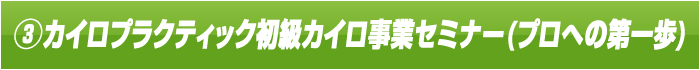 カイロプラクティック初級カイロ事業セミナー(プロへの第一歩)